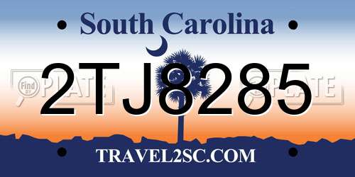 2TJ8285 South Carolina License Plate