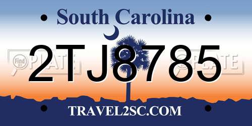 2TJ8785 South Carolina License Plate