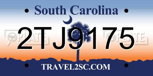 2TJ9175 South Carolina License Plate