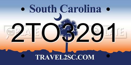 2TO3291 South Carolina License Plate