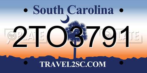 2TO3791 South Carolina License Plate