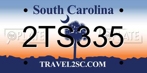 2TS335 South Carolina License Plate