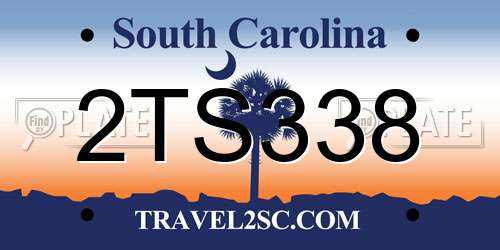 2TS338 South Carolina License Plate