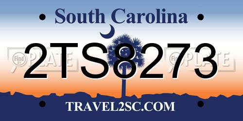 2TS8273 South Carolina License Plate