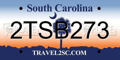 2TSB273 South Carolina License Plate