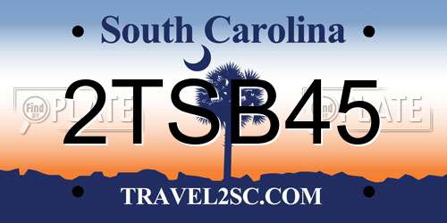 2TSB45 South Carolina License Plate