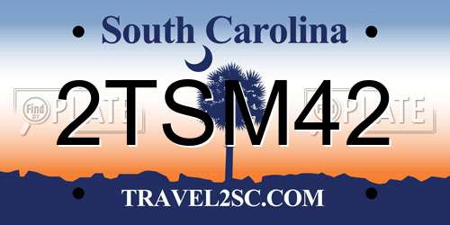 2TSM42 South Carolina License Plate