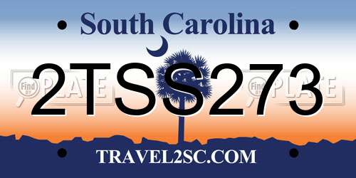 2TSS273 South Carolina License Plate
