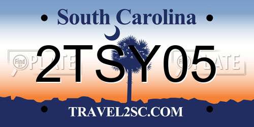 2TSY05 South Carolina License Plate