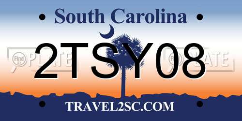 2TSY08 South Carolina License Plate
