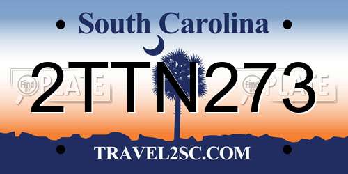 2TTN273 South Carolina License Plate