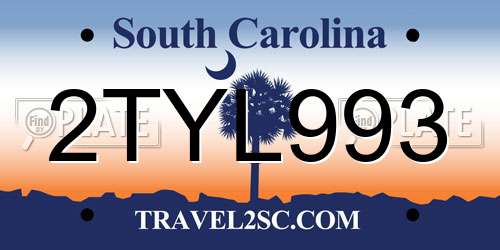 2TYL993 South Carolina License Plate