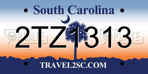 2TZ1313 South Carolina License Plate