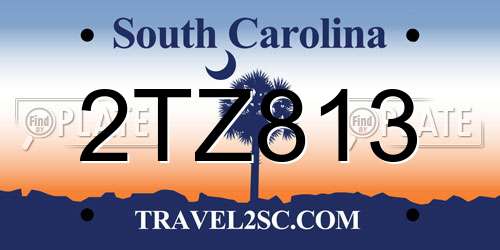 2TZ813 South Carolina License Plate