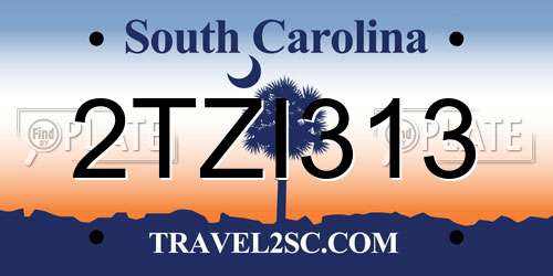 2TZI313 South Carolina License Plate