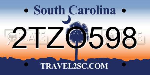 2TZO598 South Carolina License Plate