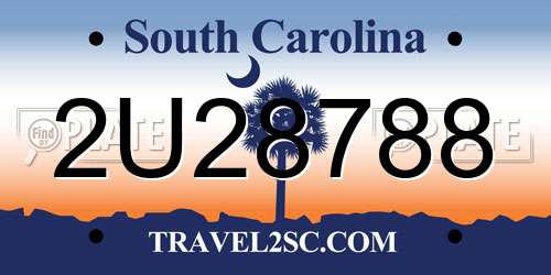 2U28788 South Carolina License Plate