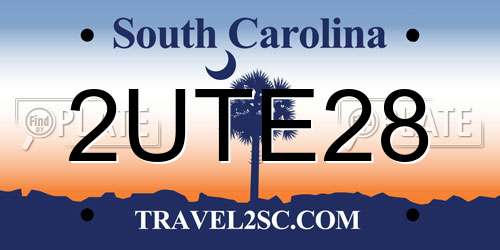 2UTE28 South Carolina License Plate