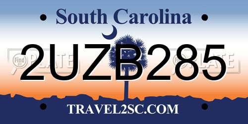 2UZB285 South Carolina License Plate