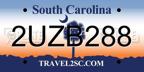 2UZB288 South Carolina License Plate