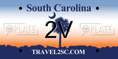 2V South Carolina License Plate