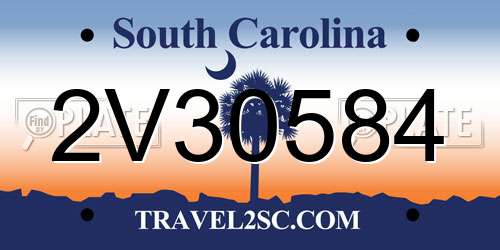 2V30584 South Carolina License Plate