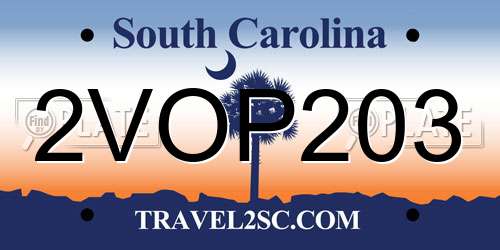 2VOP203 South Carolina License Plate