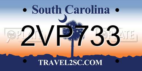 2VP733 South Carolina License Plate