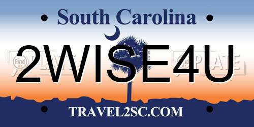 2WISE4U South Carolina License Plate