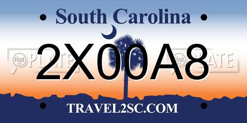 2X00A8 South Carolina License Plate