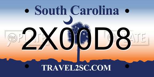 2X00D8 South Carolina License Plate