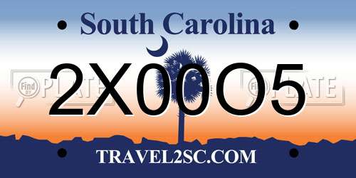 2X00O5 South Carolina License Plate