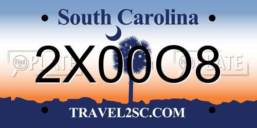 2X00O8 South Carolina License Plate