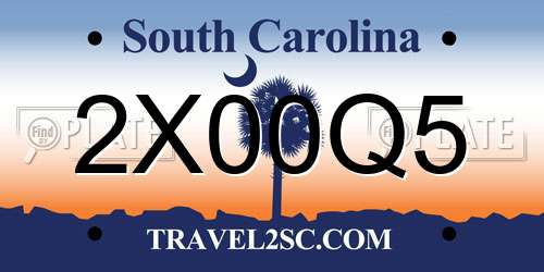 2X00Q5 South Carolina License Plate