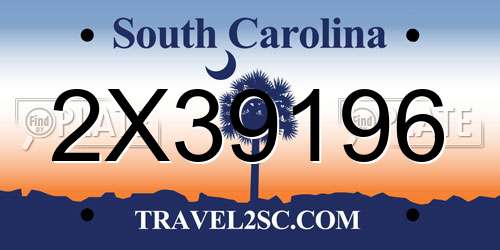 2X39196 South Carolina License Plate
