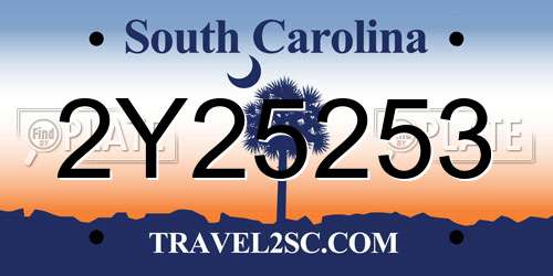 2Y25253 South Carolina License Plate