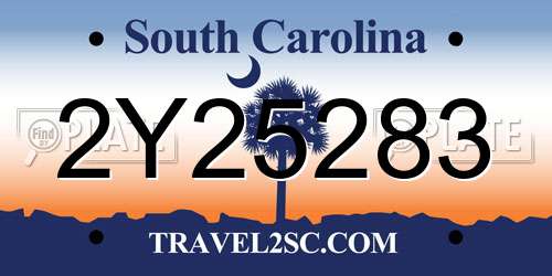 2Y25283 South Carolina License Plate