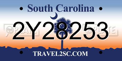 2Y28253 South Carolina License Plate