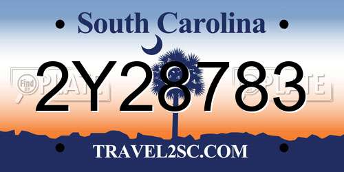 2Y28783 South Carolina License Plate