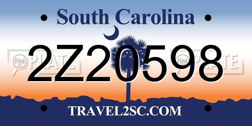 2Z20598 South Carolina License Plate