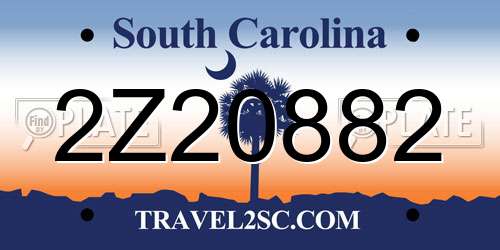 2Z20882 South Carolina License Plate