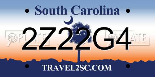 2Z22G4 South Carolina License Plate