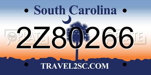 2Z80266 South Carolina License Plate