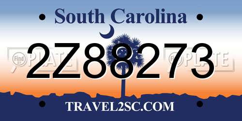 2Z88273 South Carolina License Plate
