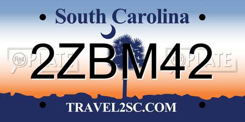 2ZBM42 South Carolina License Plate