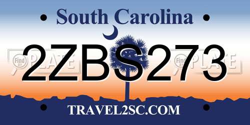 2ZBS273 South Carolina License Plate