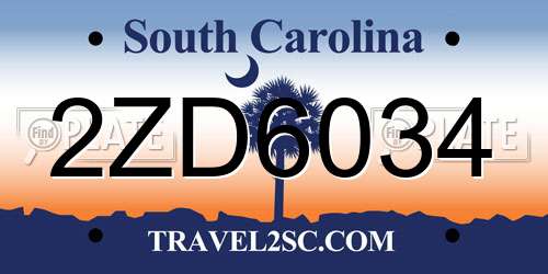 2ZD6034 South Carolina License Plate