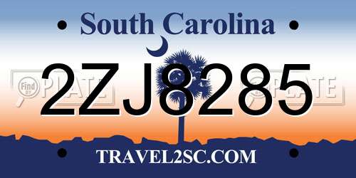 2ZJ8285 South Carolina License Plate