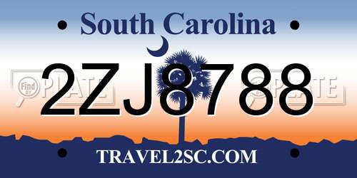 2ZJ8788 South Carolina License Plate