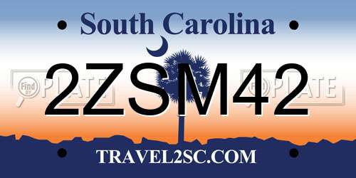 2ZSM42 South Carolina License Plate